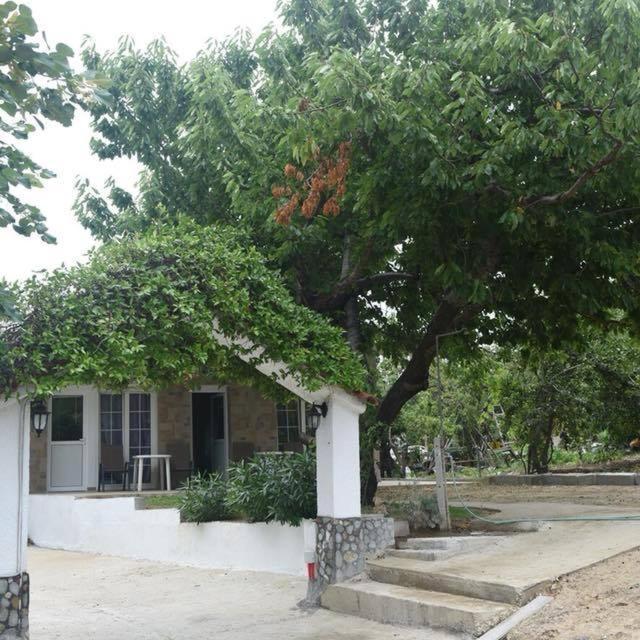 Kókkinon Nerón Villa Leonidas Koutsoupia מראה חיצוני תמונה